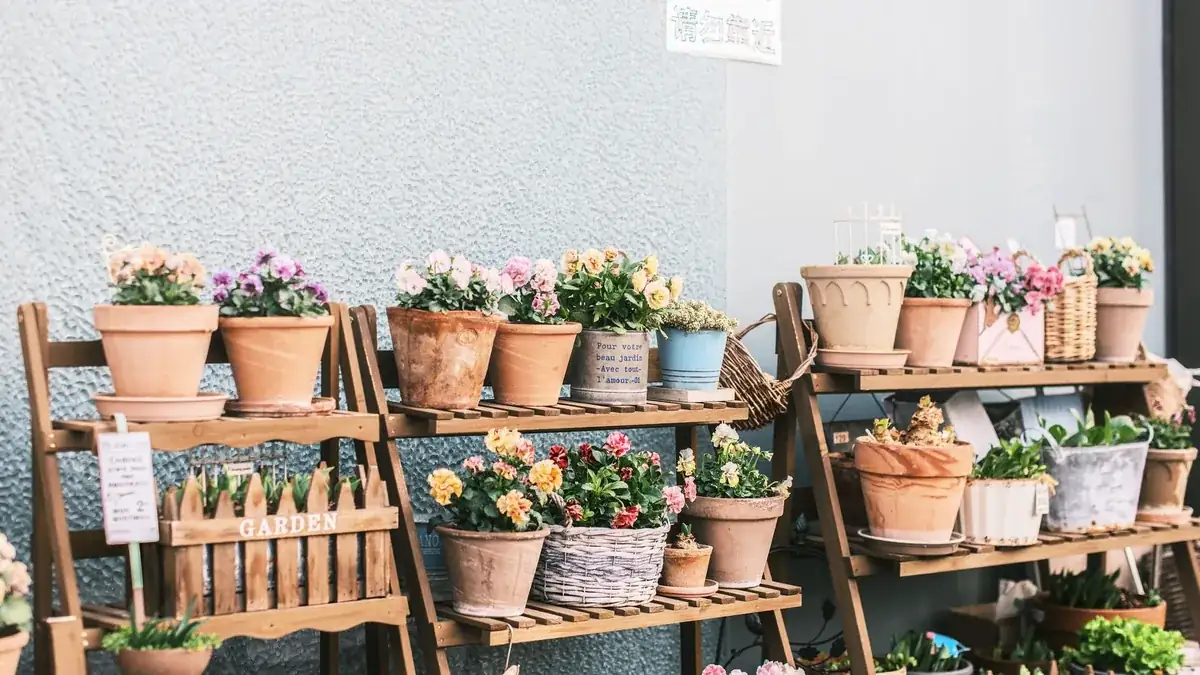Estanterías de madera con macetas de terracota y flores de colores, y un cajón de madera con la palabra GARDEN.